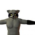 Raccoon face test