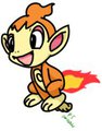 Random Chimchar
