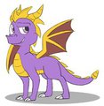 Dragons Everywhere