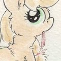 Free Tail