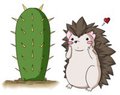 Prickly Love - Shy Attraction