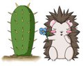 Prickly Love - A Token