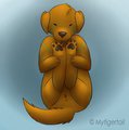 Munchy Paws
