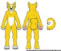 Golden husky by atreynu