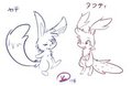 Ferals