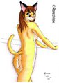April II (caracal)