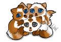 Flykit,Luckkit,Fluffkit by NoSuchConcept