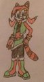 18 Year Old Marine the Raccoon