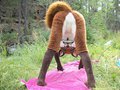 Red Fox acting silly.