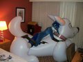 Mountain Blue relaxing on a Bolt inflatable. by Mountainbluefoxjoe