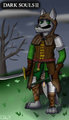 Dark Souls 2 Fanart
