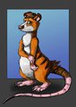 The anxiety of a meerrat