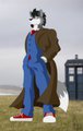 The Doctor is in! by WolfieDanno