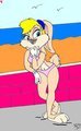 LOLA BUNNY 421