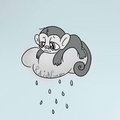 Grey mynci