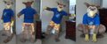 Fursuit get! by Zarphus