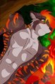 Blazger
