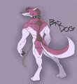 Bad Dog by Thestory