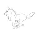 young radon running by K9Mutt