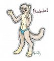 Axle Furret Fuzzy Speedo by Unknown by AxleFurret