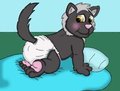 Onyx Before Naptime by OnyxOrion