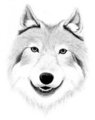 Old pencil drawing by Silberwolf