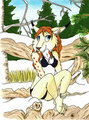 Rebecca