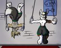 Work Out