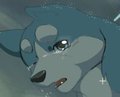 Wish upon a blackstar [animation test] by metalfox
