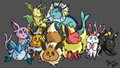 Eeveelution Wallpaper