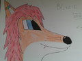 Blazie by DeynaLorne