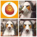 Mango head 3.0