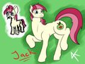 Gift Art - JackNurse