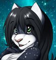 Starry Cat