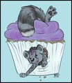 CupCat by taillone