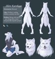 Shiro Kurokage Reference sheet