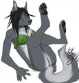 Lord Wolf-ess