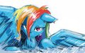 RD Swim by Asha