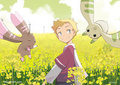 Digimon by Charln