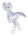New Anthro