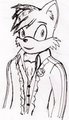 Persona 4/Sonic the Hedgehog crossover - 'Kuma "Teddie" Prower' by SovietCommando12