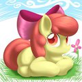 Bloomy Day