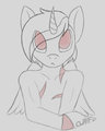 RQ: Shy Shadow