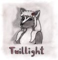 TWILLIGHT by Jorun1981