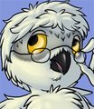 Someone's Snow Owl Shows Off by C0nnerC00n