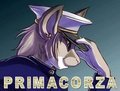 Primacorza by badboybunny