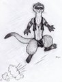 Axle Furret, Bounce Zoom! By Elena by AxleFurret