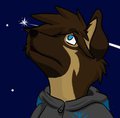 Stargazer