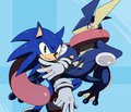 Sonic & Greninja by sssonic2