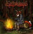 Fox of the Forest